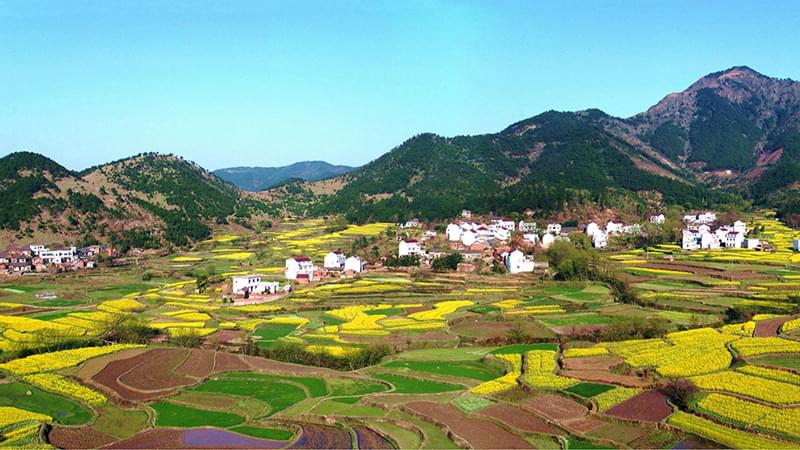 安防監控公司創通寶論建設平安鄉村目前的現狀有哪些